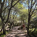 Rifugio Ortobene 샬레 누오로