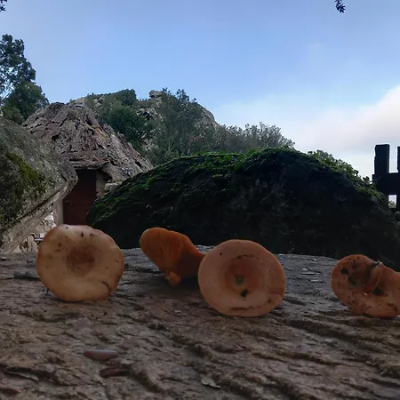 Rifugio Ortobene Nuoro (Sardinia)