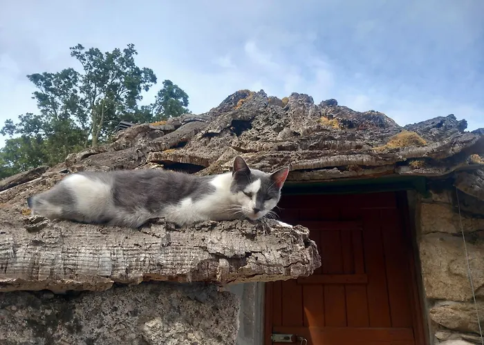 Chalet Rifugio Ortobene Nuoro (Sardinia)