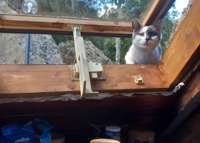 Rifugio Ortobene Chalet *