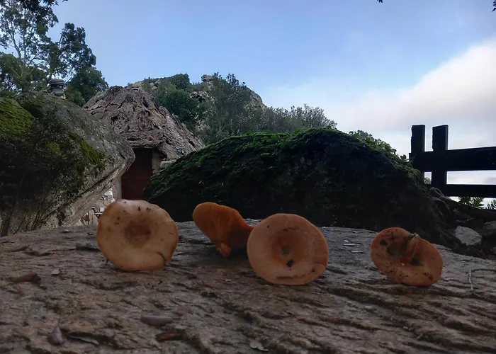 Rifugio Ortobene Nuoro (Sardinia)