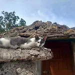 Σαλέ Rifugio Ortobene Νουόρο