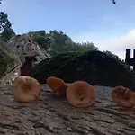 Rifugio Ortobene Νουόρο