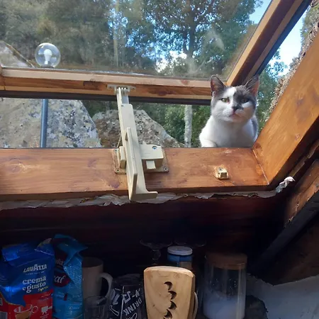 Rifugio Ortobene Σαλέ *