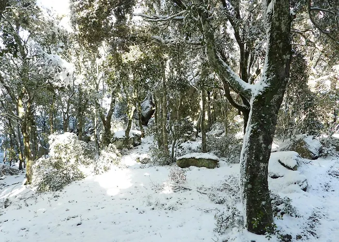 Rifugio Ortobene Chalé